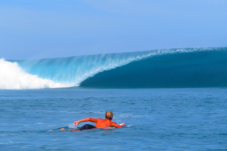 Ondas perfeitas - surfistas cada vez mais obcecados por atirar e  compartilhar pontos secretos |  Foto: Shutterstock