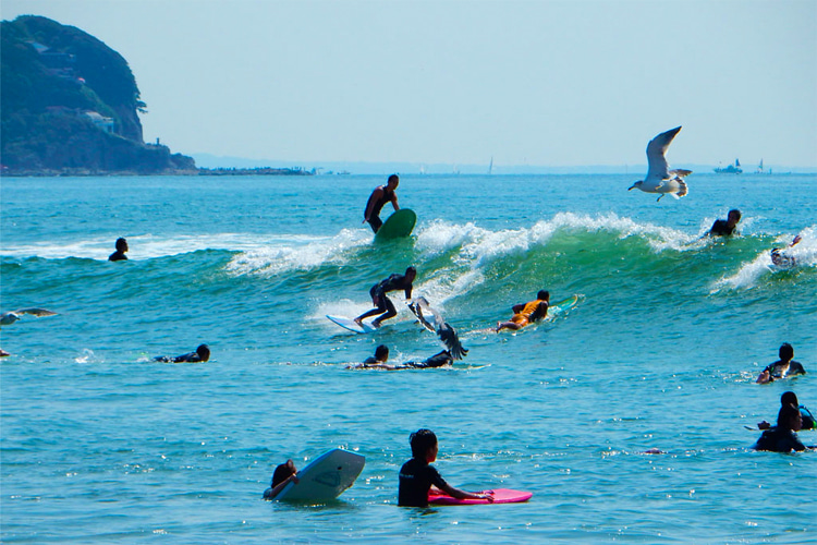 Surf no Japão: Prefeitura de Kanagawa |  Foto: japansurf.com