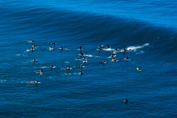 Surf Room: um fenômeno ligado a lineups sobrecarregados |  Foto: Shutterstock