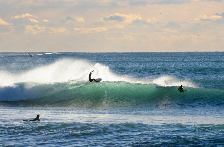 Surf: um Desporto sem fumaça |  Foto: Shutterstock