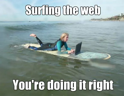 Surf Meme