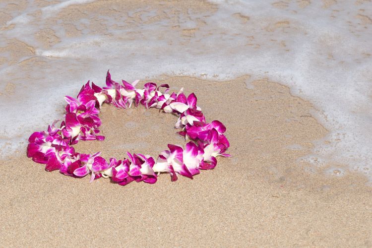 Lei: o colorido colar havaiano pode ser feito com diferentes tipos de flores |  Foto: Shutterstock