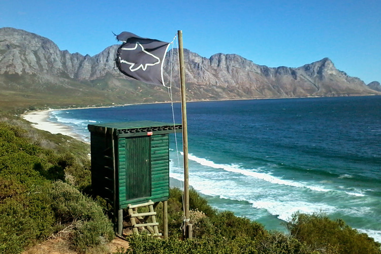 Observadores de tubarões: observadores treinados estão estrategicamente localizados em posições elevadas |  Foto: Creative Commons