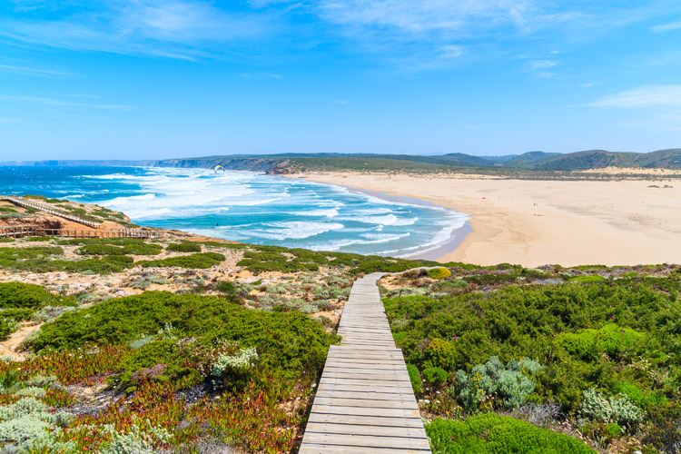 Praia: surfa tudo |  Foto: Shutterstock