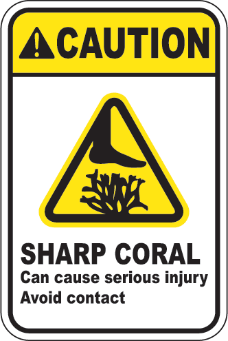 Nota: coral pontiagudo