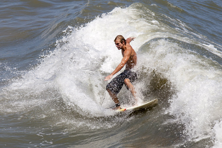 Surf: um vício para muitos, uma religião para alguns |  Foto: Bixby / Creative Commons