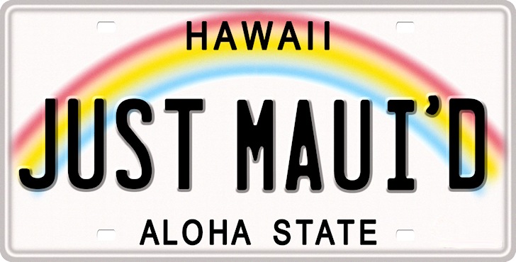 Estado de Aloha: as placas do havaiano são extremamente interessantes |  Foto: thelicenseplatesite.com