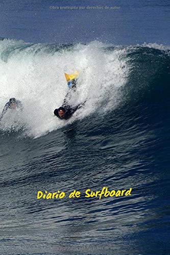 REVISTA SURF BOARD: REGISTRE TODOS OS DETALHES: spot, marés, ondas, prancha, ...