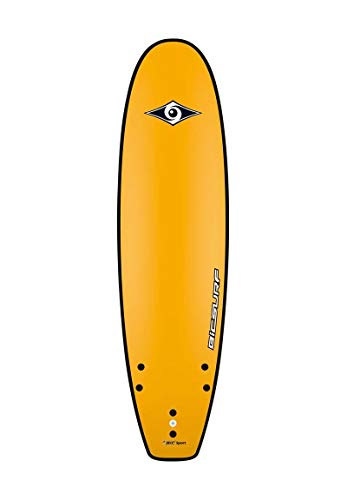 BIC Sport - Surf g-Board Kids EVO 6 '0 100770