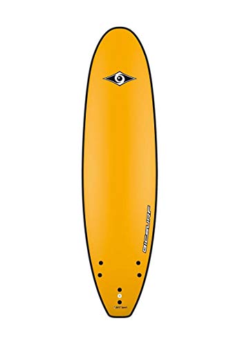 Surf Evo BIC 2015 - Surf 7'0 polegadas